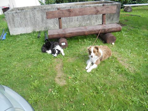 Foto 15
